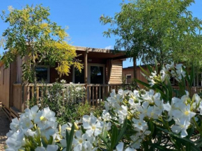Lovely mobile home with terrace